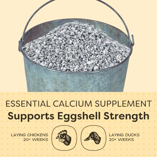 Scratch And Peck Feeds 9320-08 You Are What Your Animals Eat Cluckin' Good Limestone - All-Natural Calcium Supplement For Increase Eggshell Strength Laying Chickens thumb #3