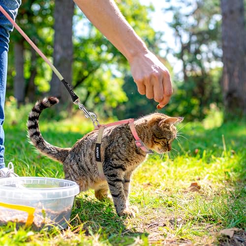 BOHUIZ Cat Harness and Leash for Walking Escape Proof Adjustable Soft Harnesses and Leash Set Easy to Wear Kitten Harness for Travel Training and Walking(Orange) - Thumbnail 7