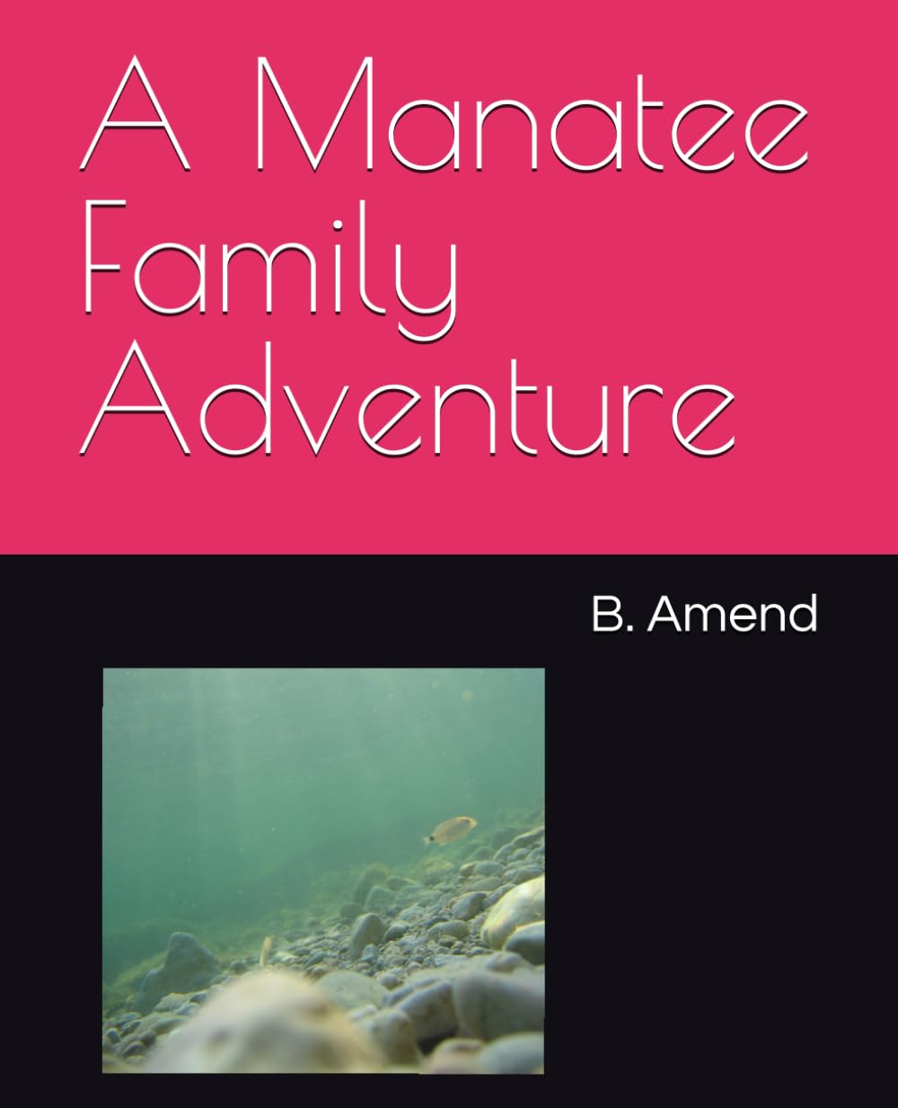 A Manatee Family Adventure