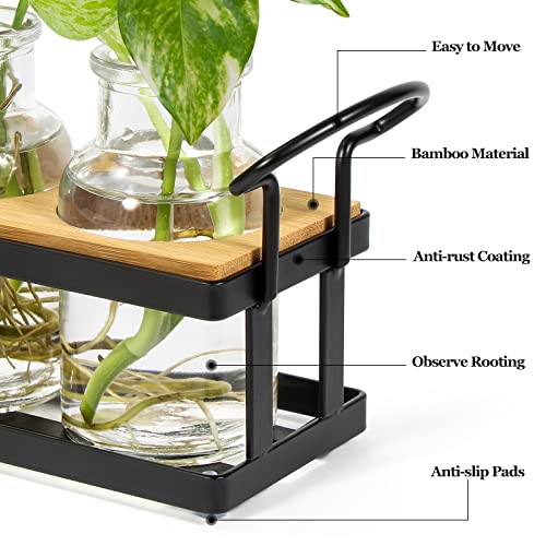 Thygiftree Plant Propagation Stations With Metal Stand, Tabletop Plant Terrarium For Propagating Hydroponic, Retro Glass Planter Flower Vase Home Kitchen Office Decor, Plant Lover Gifts, 5 Jars #TOP1