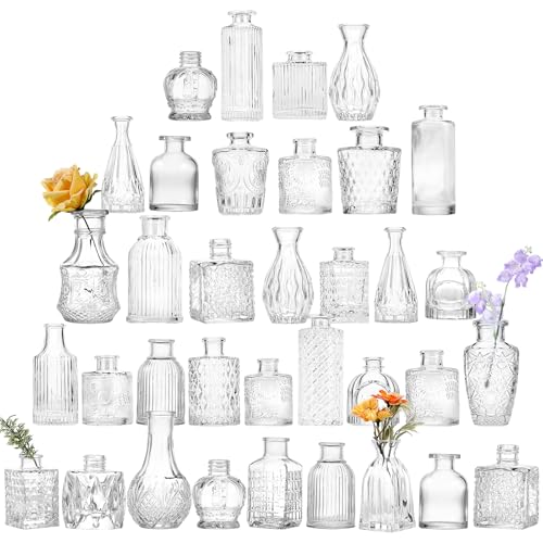 36pcs Glass Bud Vase Bulk Set, Clear Small Glass Vases
