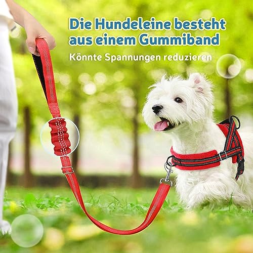 SlowTon Hundegeschirr mit Leine, Anti-Zug Geschirr, Verstellbare Reflektierend Welpengeschirr Brustgeschirr Sicherheitsgeschirr Anti-Erstickung Brustgeschirr für Kleine, Mittelgroße Hunde & Welpen