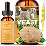 Pewter Saint Francis of Assisi Medal for Dog or Cat Pet Collar, 1 1/2 Inch