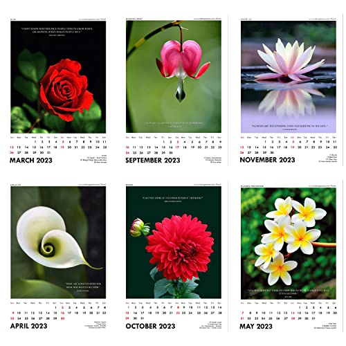 Image of Tallenge - Floral - 2023 Wall Calendar - 12 x 17 Inches for Home & Office (Paper, Wall Calendar)