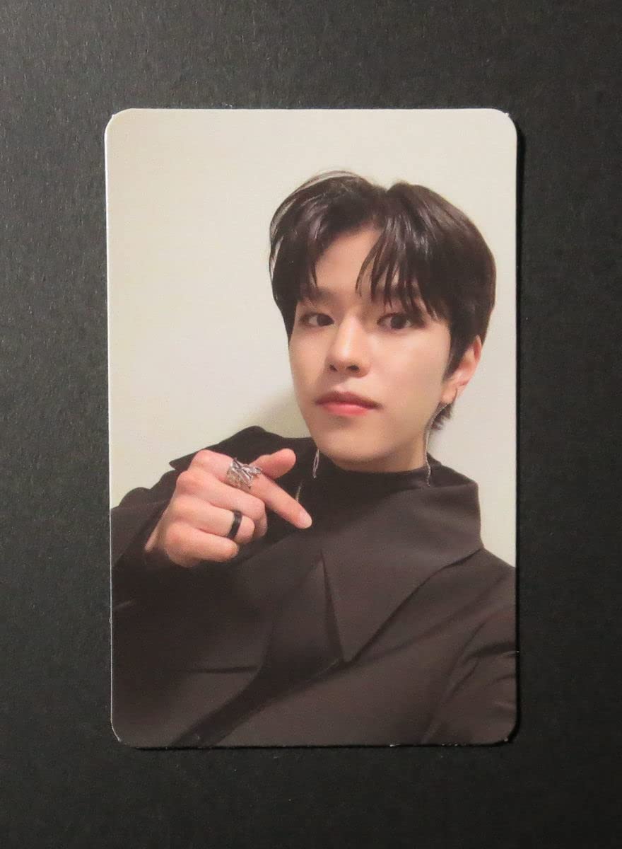 Amazon.co.jp: Stray Kids ODDINARY トレカ フォトカード