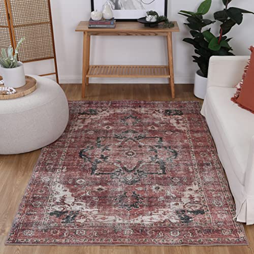 The Rug Collective Fun Coupons