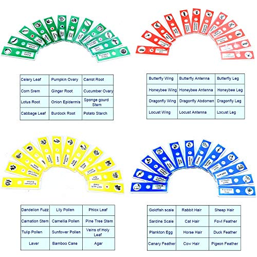 Bysameyee BB Prepared Microscope Slides For Kids, 48Pcs Plastic Animals Insects Plants Flowers Sample Specimens thumb #4
