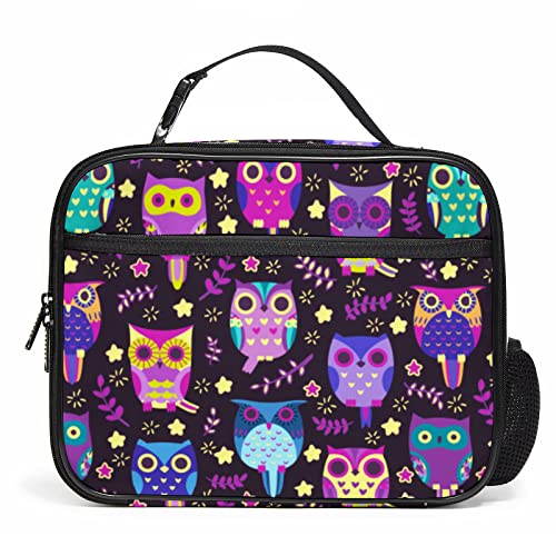10 Best Kids Owls Lunch Bags BabyStuffLab