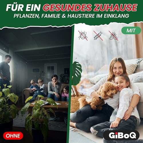 GiBoQ Neemöl [250] ml – 100% natürliches Neemöl mit Emulgator für gesunde Pflanzenpflege | Gegen Trauermücken & Blattläuse | Hält Schädlinge fern | Für Garten & Zimmerpflanzen