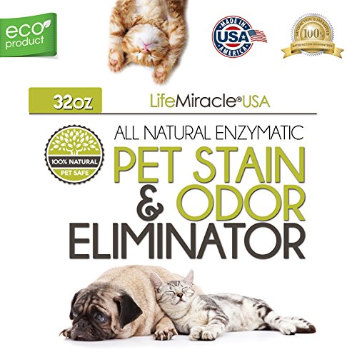 Life Miracle Natural Enzyme Cleaner - Pet & Laundry Stain Remover Odor Eliminator Neutralizer 32oz Spray - Thumbnail 7