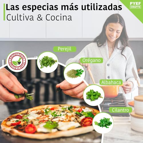 Huerto-Urbano-Hierbas-Aromaticas-Semillas-Oregano-Albahaca-Perejil-y-Cilantro-Kit-Plantas-Aromaticas-Interior-Kit-Semillas-Plantas-Culinarias-Huerto-en-casa