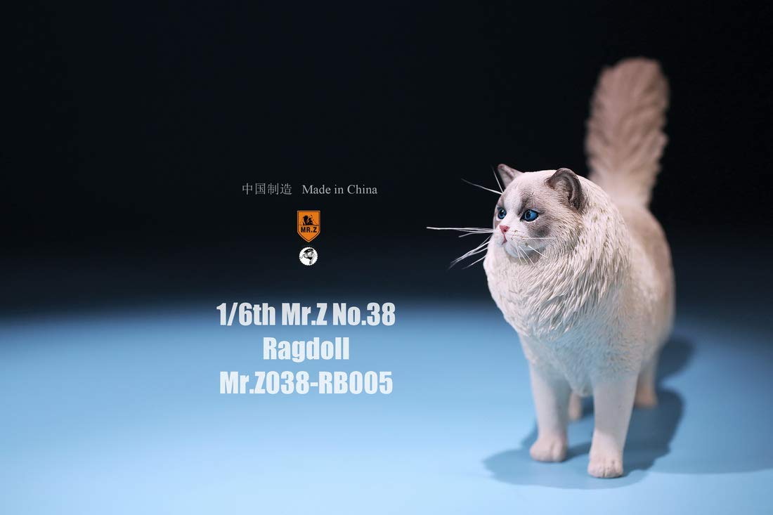 ハンドメイド ドール ラグドール 人形 rurukoちゃん♡ ⁡ こちらでは初登場のるるこちゃん ポストペット