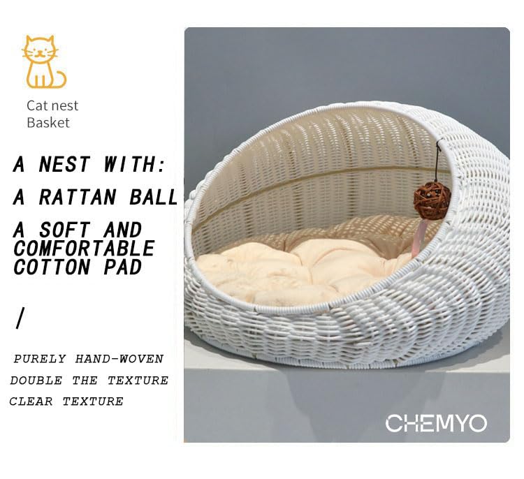 Cuccia per Gatti in Vimini, Cuccia per Gattini in Vimini, Cuccia in Rattan per Uso Interno ed Esterno, Cuccia Accogliente con Cuscino Morbido Lavabile 50x40x35 cm Bianco
