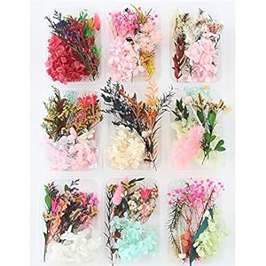 QKFON Natuurlijke Geperste Bloemen Gemengde Gedroogde Bloem Materiaal voor DIY Aromatherapie Kaarsen Wenskaart Epoxy…