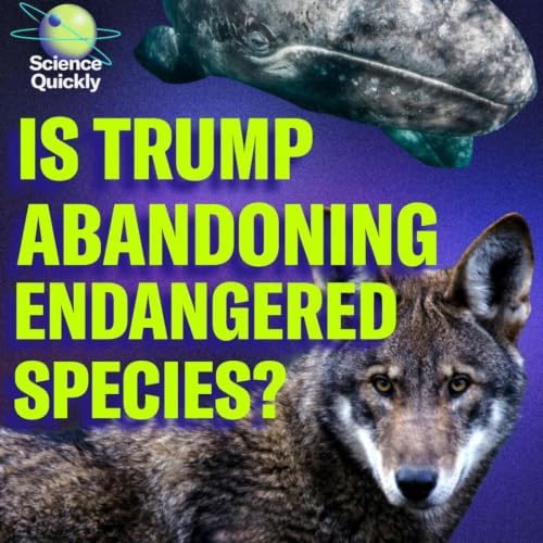 Is Trump abandoning endangered species?