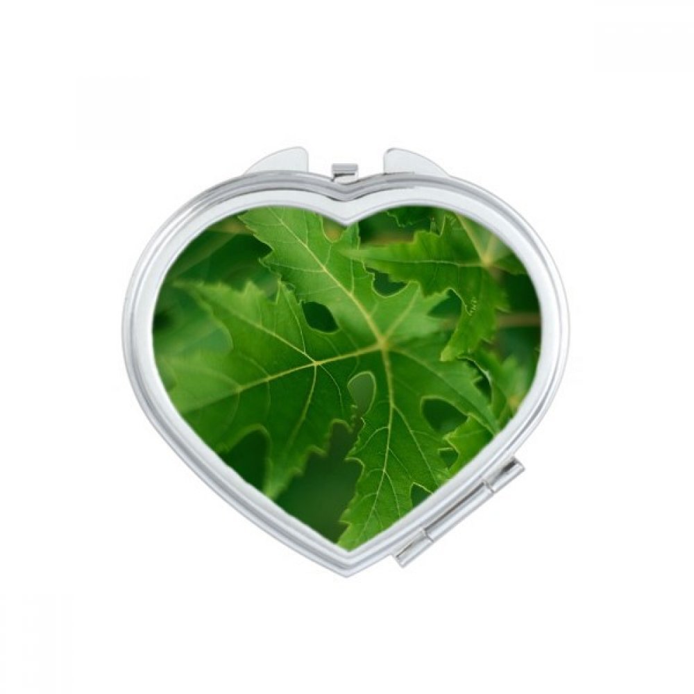 Miroir de maquillage compact portable soleil feuille de plante fait main multicolor