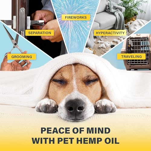 Charlie-Buddy-Hemp-il-for-Dogs-Cats-Helps-Pets-with-nxity-Pin-Strss-Slp-rthritis-Sizures-Rlief-i-Jint-Halth-Clming-Trats Charlie Buddy Hemp il for Dogs Cats Helps Pets with nxity Pin Strss Slp rthritis Sizures Rlief i Jint Halth Clming Trats