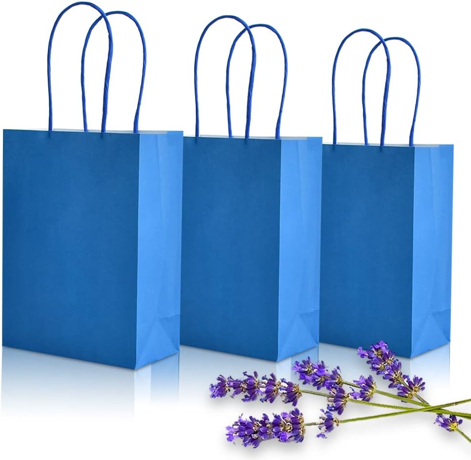 BEISHIDA Small Gift Bags Party Favor Bags Paper Gift Bags Blue Gift Bags with Handles Birthday Gift bags (6.5 x 4.5 x 2.5 Inch, 20PCS)