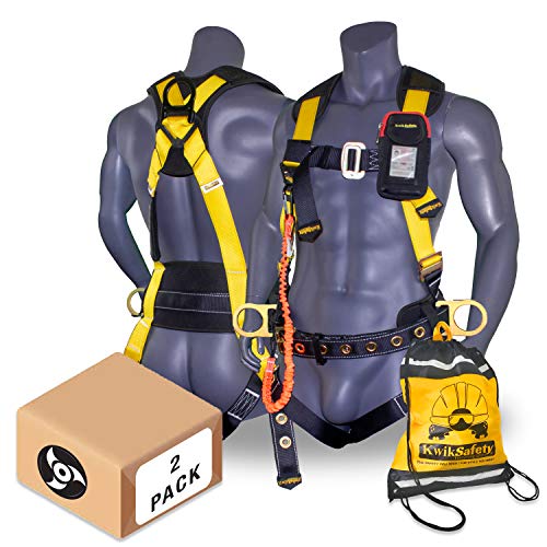 KwikSafety (Charlotte, NC) TYPHOON (2 PACK) ANSI Fall Protection Full Body Safety Harness Personal Protective Equipment Dorsal Ring Side D-Rings Grommet Leg Straps Tool Lanyard Bolt Pouch Construction