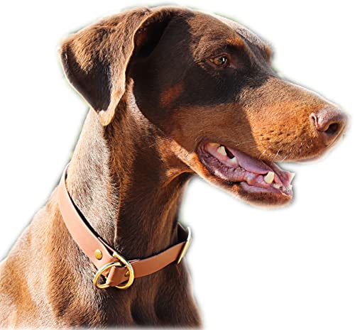 Biothane Halsband Zugstopp begrenzt