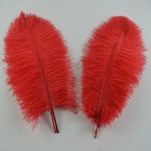 Plumes d'autruche 40-45 cm rouges pour centre de table