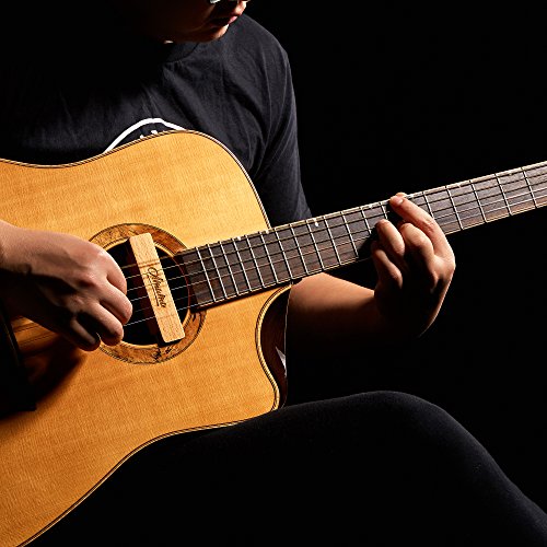 Amumu NEO-SP31 Passive Neodymium Magnetic Soundhole Pickup for Acoustic Guitar