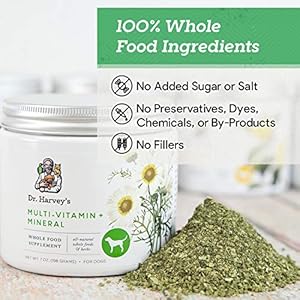 Dr Harveys herbal multi vitamin and mineral supplement for dogs 7 ounces   cucciolini doodles