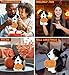 DolliBu Super Soft Bernese Mountain Dog Stuffed Animal with Pumpkin Decor - Pumpkin Plush Animal for Fall, Halloween and Thanksgiving, Pumpkin Toy for Baby, Kids, Adults - 8 Inches