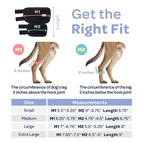 Labra Dog Extra Supportive Canine Rear (Hind) Leg Hock Joint Compression Wrap For Recovery, Protection, And Sprain And Injury Prevention, Ankle Brace With Knee Support For Dogs - Medium #TOP3