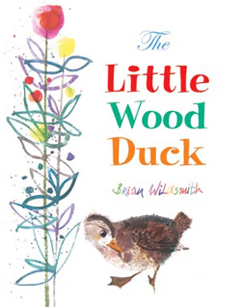 The Little Wood Duck by Brian Wildsmith (Paperback Book)