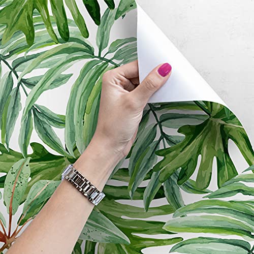 Fotomurale autoadhesiva Magic-Stick para tapar imperfecciones de la pared 4