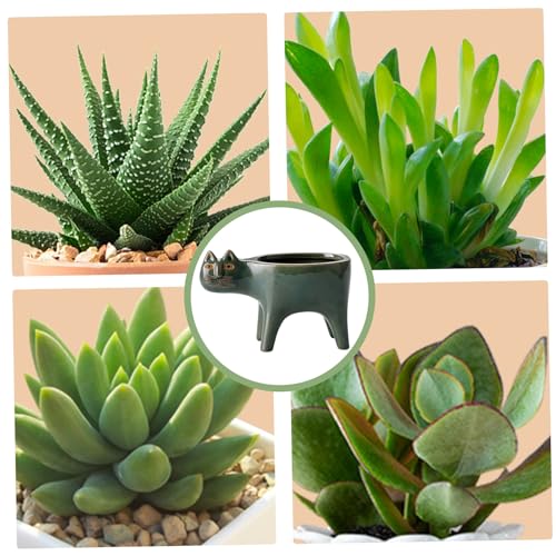 Pot en forme de chat idéal comme cadeau de décoration intérieure - 5