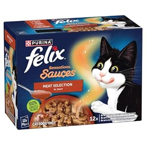 FELIX