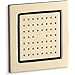 KOHLER 8002-AF Bodyspray, Vibrant French Gold