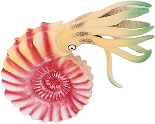 Nautilus Modelo De Plástico Brinca Para Crianças Brinquedos Educativos Oceano Brinquedos Oceano Bichos De Pelúcia Nautilus Pelúcia Animais Do Oceano Nautilus Estatueta Artificial