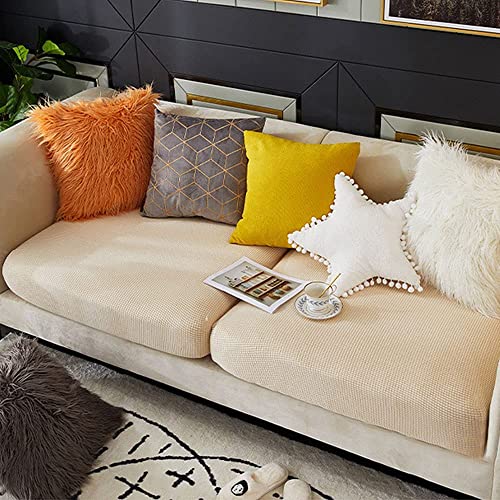 \t@[Jo[ ʃJo[ \t@NbVJo[ 4.5l| It n Lkf h@\ Xgb` ҂tBbg h h~ _炩 lGKp 􂦂ې ϋv FLx (x[W, 4.5l|)