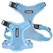 Voyager Step-in Pet Harness - All Weather Mesh, Adjustable Step in Harness for Cats and Dogs by Best Pet Supplies - Baby Blue, XS