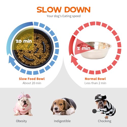 FOREYY 4-in-1 Verstellbare hundenapf erhöht mit 2 Edelstahlnäpfen und 1 Anti Schling Napf, futternapf Hund erhöht in 4 Höhen, Rutschfester Hunde Futterstation für mittlere & große Hunde (Grau)