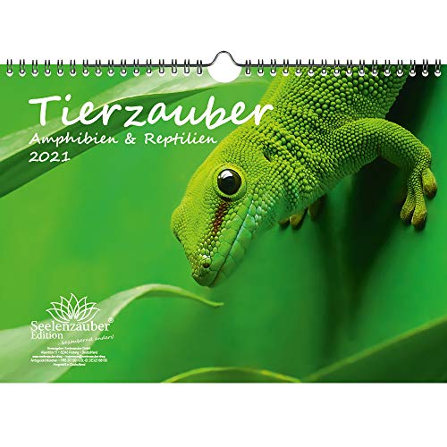Télécharger Calendrier 2021 - Motif amphibiens et reptiles - Format A4 - Coffret cadeau - Contenu : 1 calendrier Francais PDF