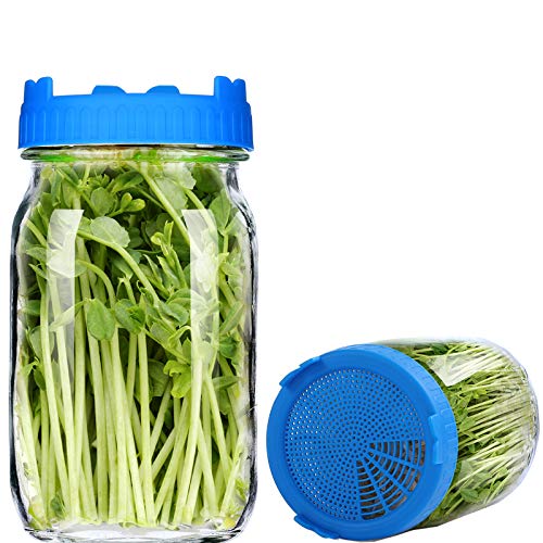 Seed Sprouting Jar Kit, 2 Wide Mouth Mason Sprouting Jar & 2 Easy Rinse & Drain Lids, Use for Growing Organic Healthy Fresh Broccoli, Alfalfa, Mung Bean Sprouts and Salad