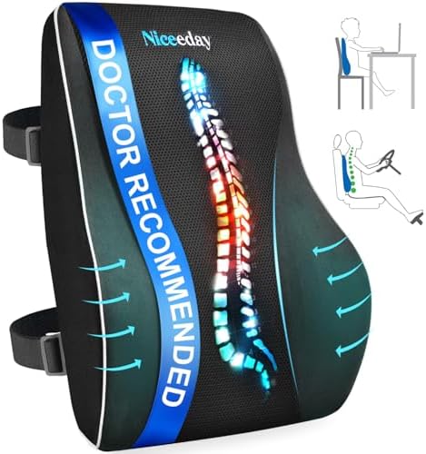Niceeday Lumbar Support Pillow for Office Chair Car Back Support ...