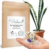 Para plantas de interior y exterior: este sistema de riego automático es adecuado para todo tipo de plantas en apartamento, oficinas, casa, pero también para plantas en balcón o jardín.