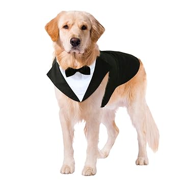 Kuoser Dog Tuxedo Dog Suit and Bandana Set, Dogs Tuxedo Wedding Party Suit, Dog Prince Wedding Bow Tie Shirt Formal Dog Weeding Attire for Large and Medium Dogs Golden Retriever Samo Bulldogs L