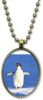 Colar de pinguim branco fofo imagem natureza corrente corrente corrente corrente pingente coleção de joias