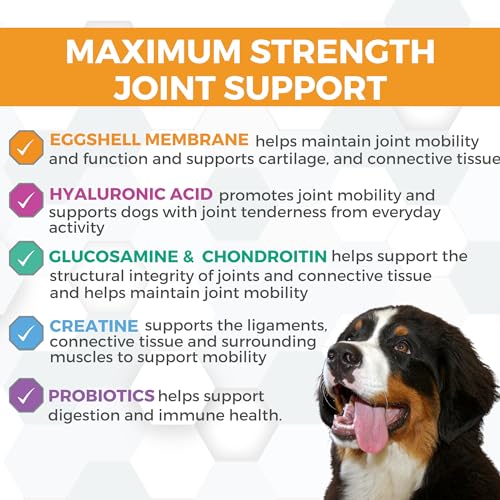 Image of Progility Maximum Strength Hip & Joint Supplement for Large Dogs - Daily Mobility & Joint Support with Eggshell Membrane, Glucosamine, Chondroitin, & MSM, Soft Chews (60 Count)