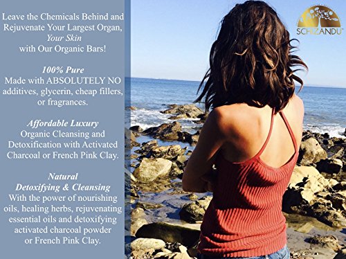 Schizandu Organics Charcoal Cleansing Soap, Organic Herbal Skin Detox With Activated Charcoal | 4 Oz. | 100% Pure Natural Luxury For Facial, Body Detoxification | Moisturizing, Nourishing Beauty Bar #TOP2