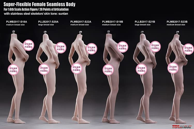 S20A 1/6スケール　PHICEN PLLB2017-S20A Amazon.com: i8 TOYS Phicen TBLeague 1/6 Scale Female
