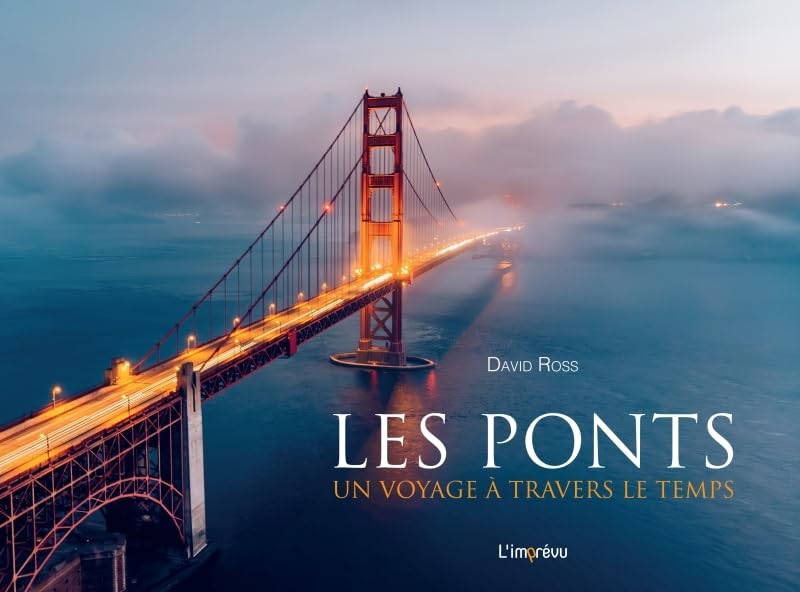 Les ponts: Un voyage à travers le temps - Histoire ingénierie génie civil