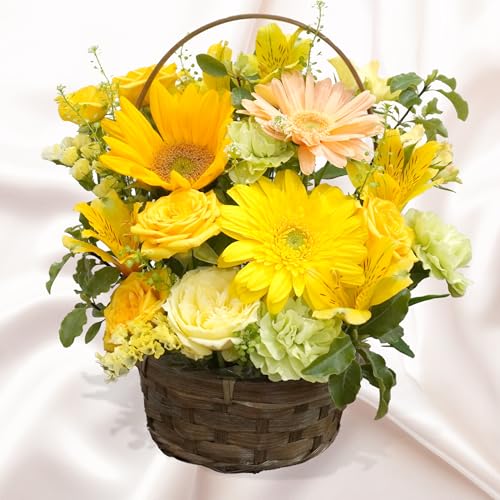  / AWg  MTCYyIׂJ[z ؂ AW  Mtg v[g a LO j  v[g t[AWg Fn