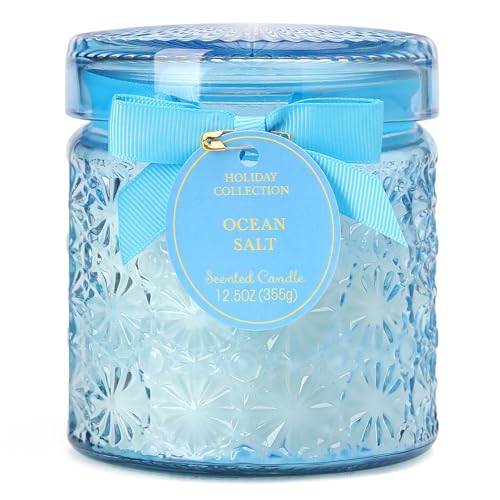 Summer Ocean Scented Candle, Blue Sea Aromatherapy Candles, Coastal Room Decor Scented Candle Gifts for Women, 12.5oz Natural Soy Wax Luxury Large Decorative Candles in Glass by SUPREME LIGHTS ·2017· - Used condition - US$16.14